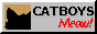 Banner that says 'Catboys Meow!' with a GIF of a cat flicking their ears. Banner by yourdevilfriends.art