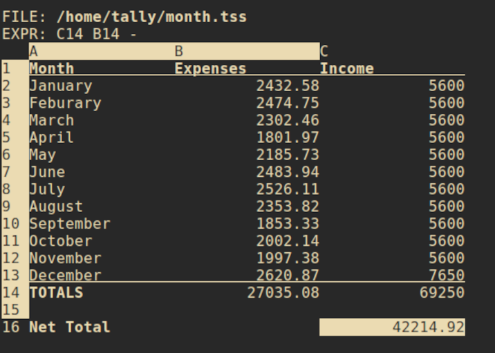 screen shot of tally showing monthly expenses vs income